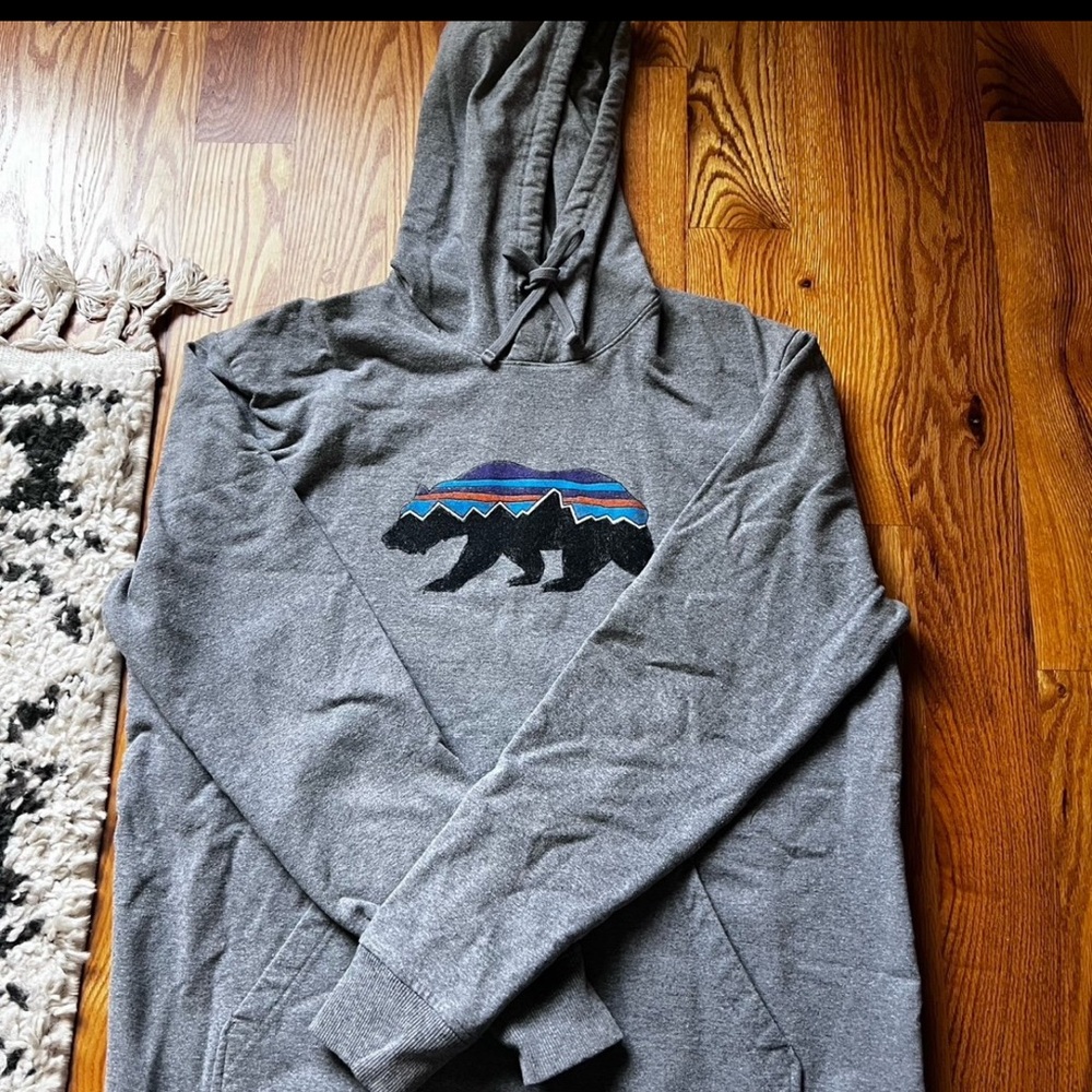 Patagonia Hoodie